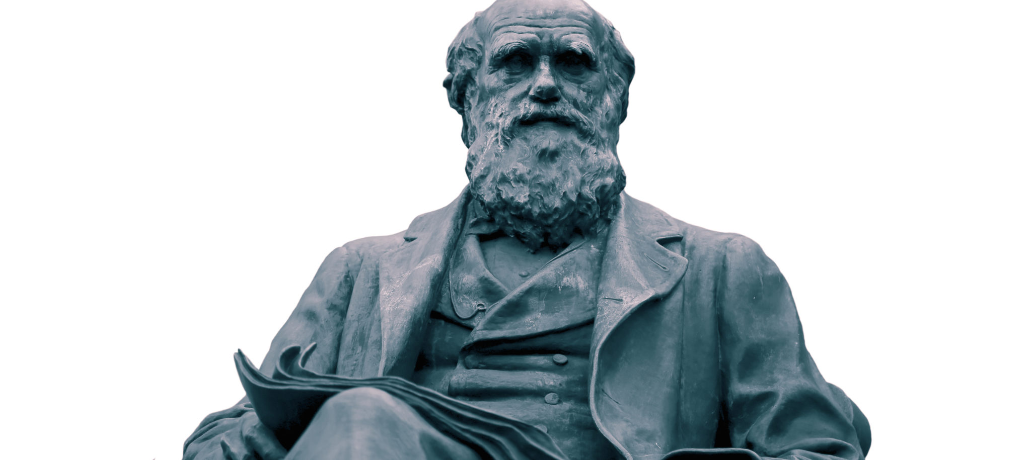 Statue,Of,Charles,Darwin,Isolated,On,A,White,Background.,With